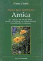 Arnica. Un rimedio efficace per ferite, ecchimosi ed ematomi, infiammazioni, disturbi della circolazione