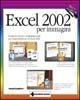 Excel 2002 per immagini