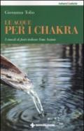 Le acque per i chakra. I rimedi di fonti italiane Fons Animi