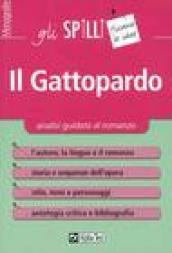 Il Gattopardo. Analisi guidata al romanzo