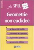 Geometrie non euclidee