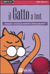 Il gatto a test