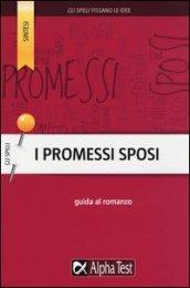 I Promessi Sposi. Guida al romanzo