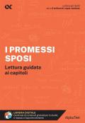 I Promessi Sposi. Guida al romanzo