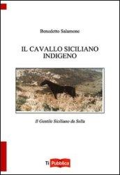 Il cavallo indigeno siciliano. Il gentile siciliano da sella