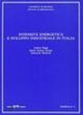 Intensità energetica e sviluppo industriale in Italia