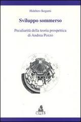 Sviluppo sommerso. Peculiarità della teoria prospettica di Andrea Pozzo