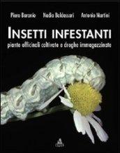 Insetti infestanti, piante officinali coltivate e droghe immagazzinate