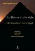 Like thieves in the night... The expulsion from Egypt