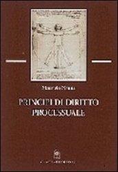 Principi di diritto processuale