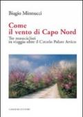 Come il vento di Capo Nord. Tre motociclisti in viaggio oltre il Circolo Polare Artico