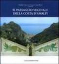 Il paesaggio vegetale della Costa d'Amalfi