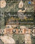 Ajanta dipinta. Studio sulla tecnica e sulla conservazione del sito rupestre indiano. Con DVD. Ediz. italiana e inglese. 2.