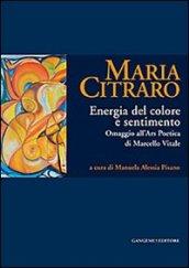 Maria Citraro. Energia del colore e sentimento. Omaggio all'ars poetica di Marcello Vitale