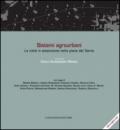 Sistemi agrourbani. La città in estensione nella piana del Sarno. Ediz. italiana e inglese