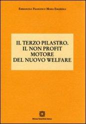 Il terzo pilastro. Il non profit motore del nuovo welfare