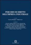 Percorsi di diritto dell'impresa industriale