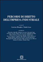 Percorsi di diritto dell'impresa industriale