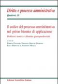 Il codice del processo amministrativo nel primo biennio di applicazione