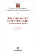 The Brics Group in the sportlight. An interdisciplinary approach