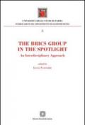 The Brics Group in the sportlight. An interdisciplinary approach