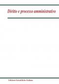 Diritto e processo amministrativo (2025). Vol. 4