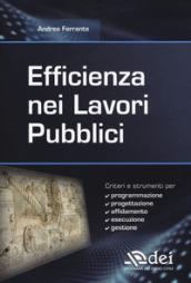 Efficienza nei lavori pubblici