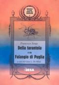 Della tarantola o sia Falangio di Puglia