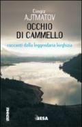 Occhio di cammello. Racconti dalla leggendaria Kirghizia