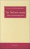 Fra diritto e storia. Itinerari canonistici