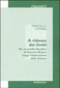 A ridosso dei limiti. Per un profilo storico di Heinrich Rickert lungo l'elaborazione delle «Grenzen»