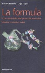 La formula. Come passare dallo Stato gassoso allo Stato solido. Istituzioni, economia e società