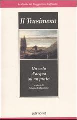 Il Trasimeno. Un velo d'acqua su un prato