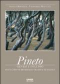 Pineto. Genesi e sviluppo di un comune rivierasco tra XIX e XX secolo