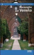 Meraviglie del Veneto. 1.Alla ricerca della storia