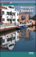 Meraviglie del Veneto. 7.Dalla laguna al Delta