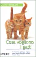 Cosa vogliono i gatti