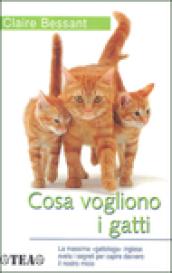 Cosa vogliono i gatti