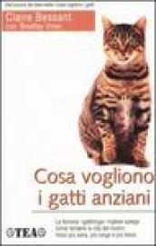 Cosa vogliono i gatti anziani