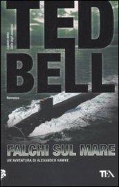 Falchi sul mare