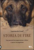 Storia di Fire