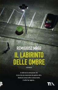 Il labirinto delle ombre