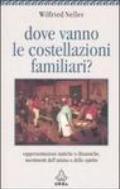 Dove vanno le costellazioni familiari? Rappresentazioni statiche o dinamiche, movimenti dell'anima o dello spirito