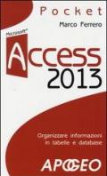 Access 2013