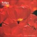 Tulips. Calendario 2004