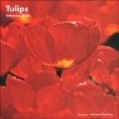 Tulips. Calendario 2004