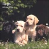 Dogs. Calendario 2004