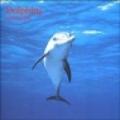 Dolphins. Calendario 2004