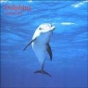 Dolphins. Calendario 2004