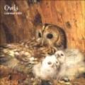 Owls. Calendario 2004